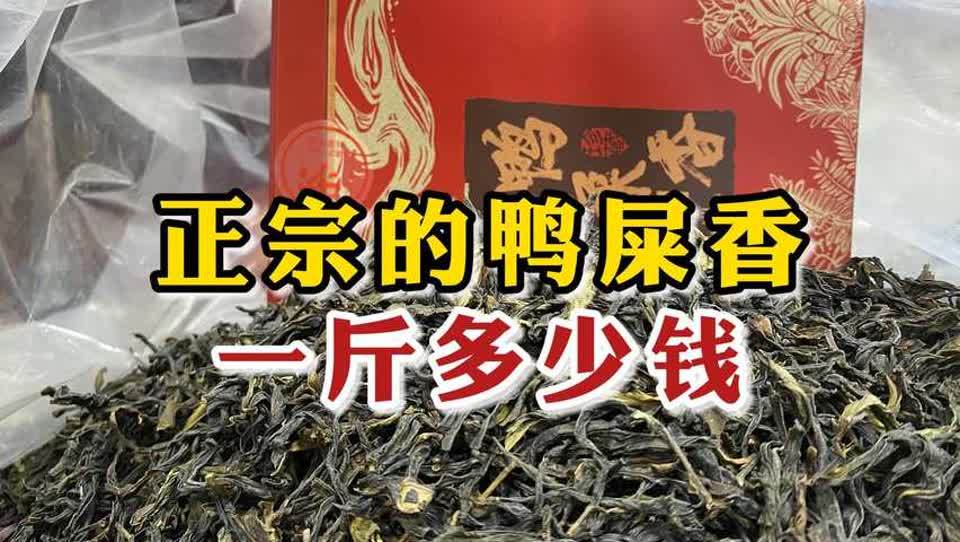 鸭屎香茶叶价格