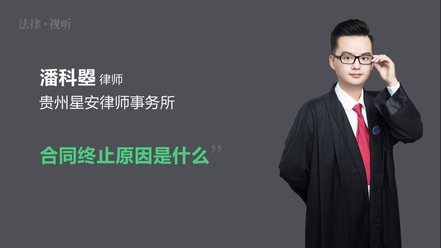 项目合同终止的原因有哪些
