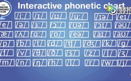 英语48个音标发音