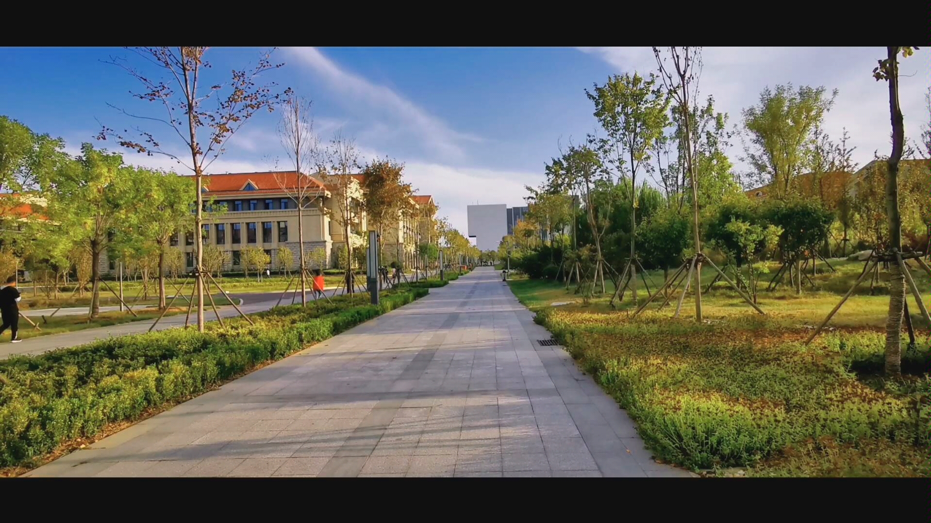 山东大学青岛校区的面积超过3000亩在青岛什么地方？