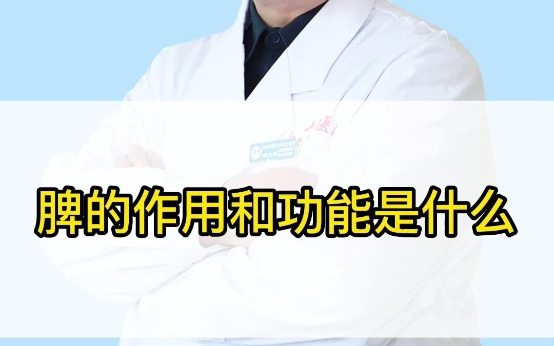 脾的作用是什么(07/06更新)