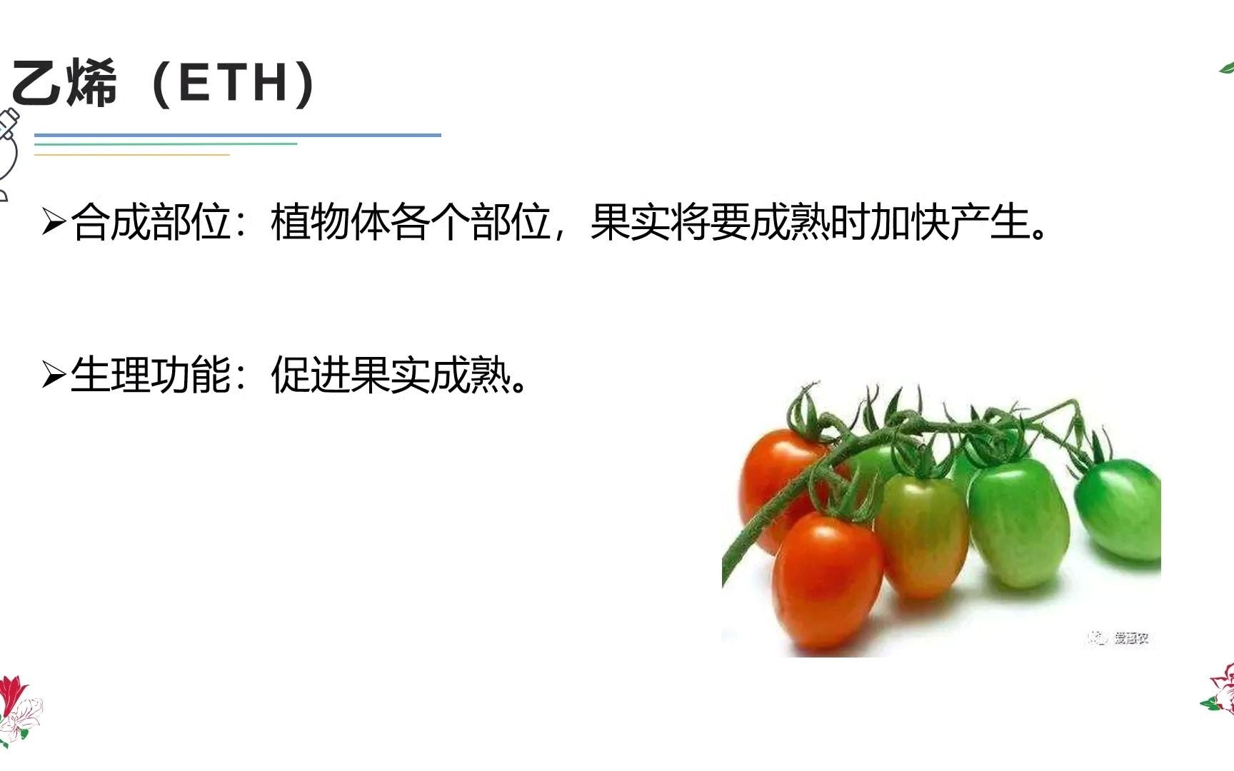 对乙烯最有效的生物(01/29更新)