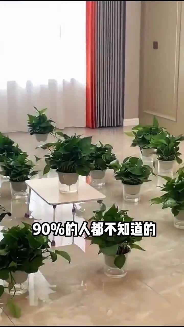 去甲醛最有效的地方(去除家里的甲醛用什么东西最好？)