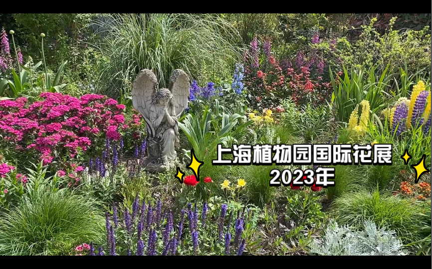 上海植物园2023年入园规定？