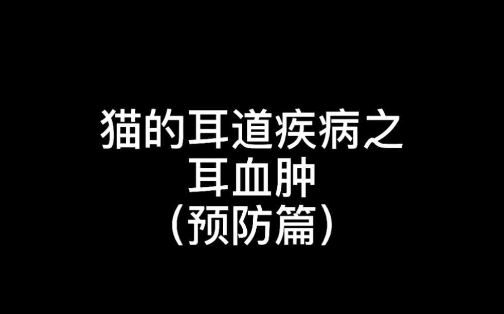 猫咪耳血肿的治疗方法有哪些？