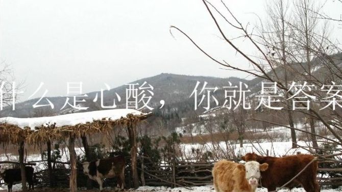 心酸是什么意思