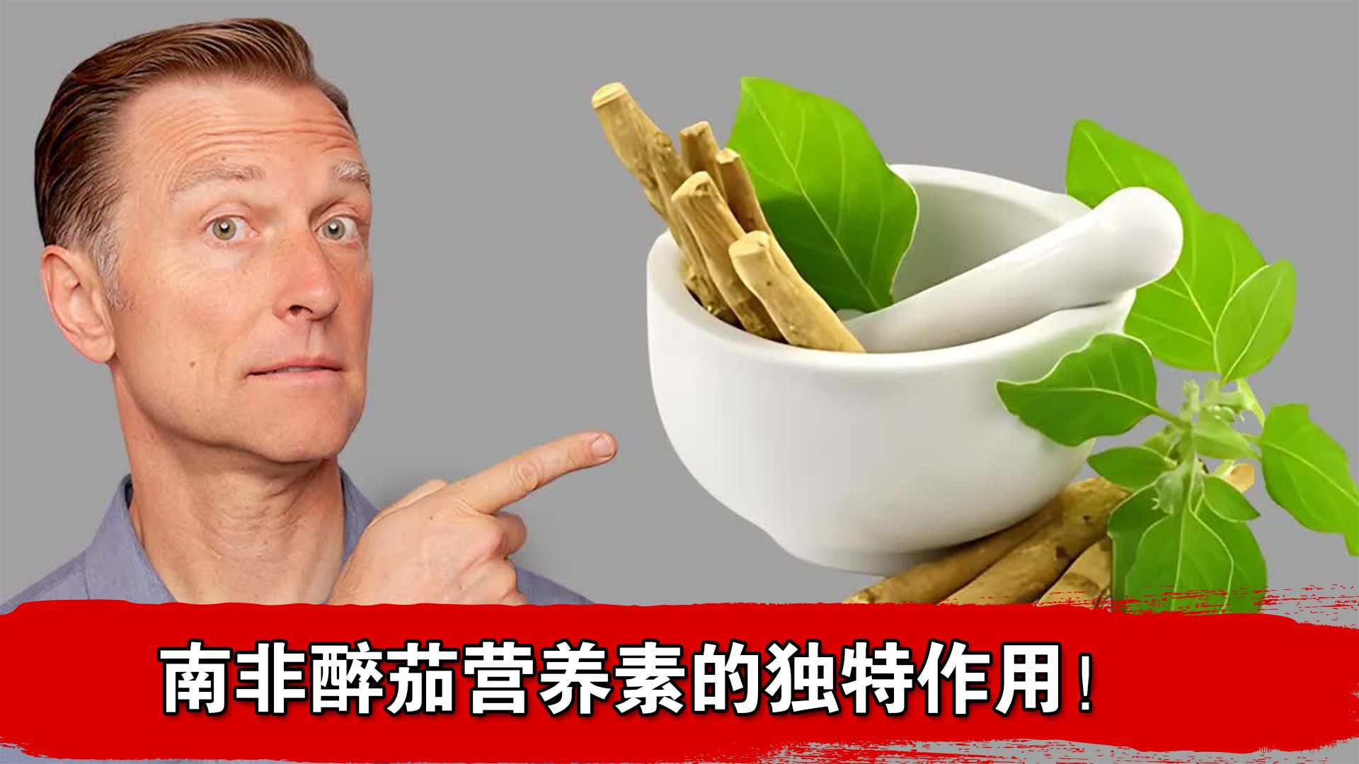 南非醉茄功效与作用