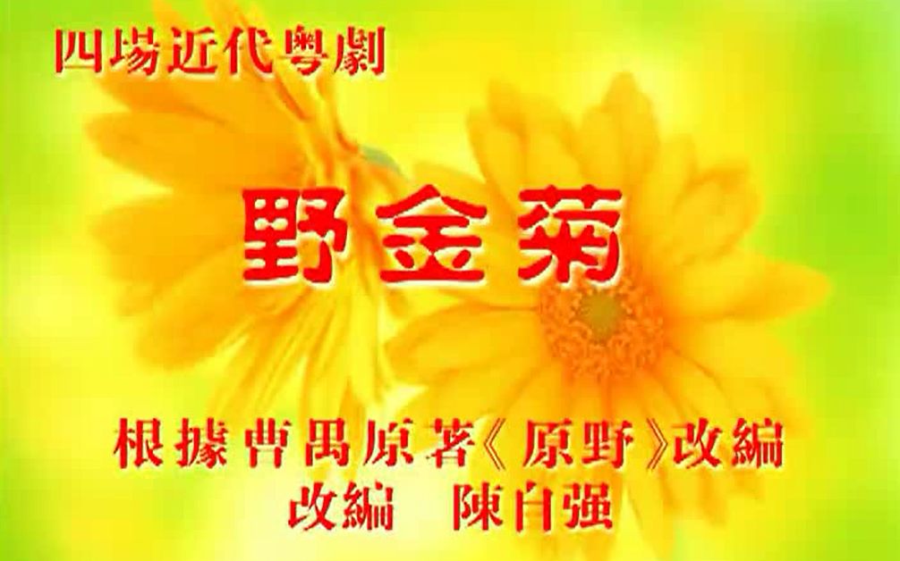 野菊花电影剧情介绍