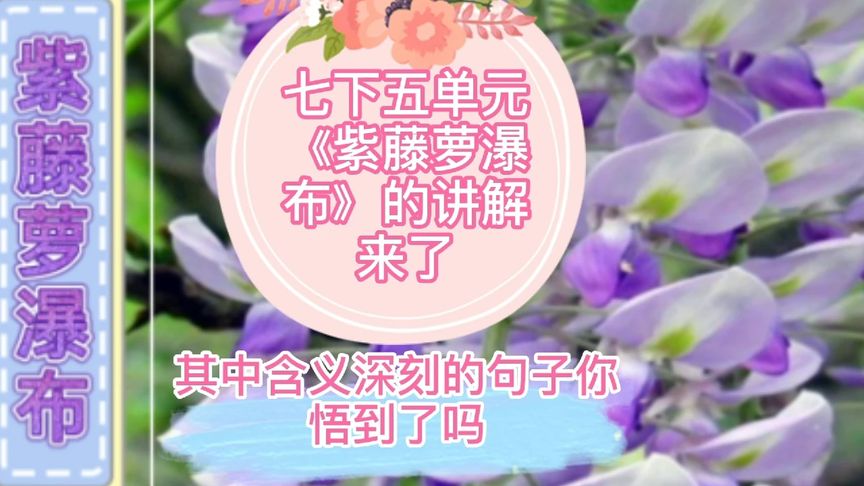 紫藤萝瀑布句子赏析