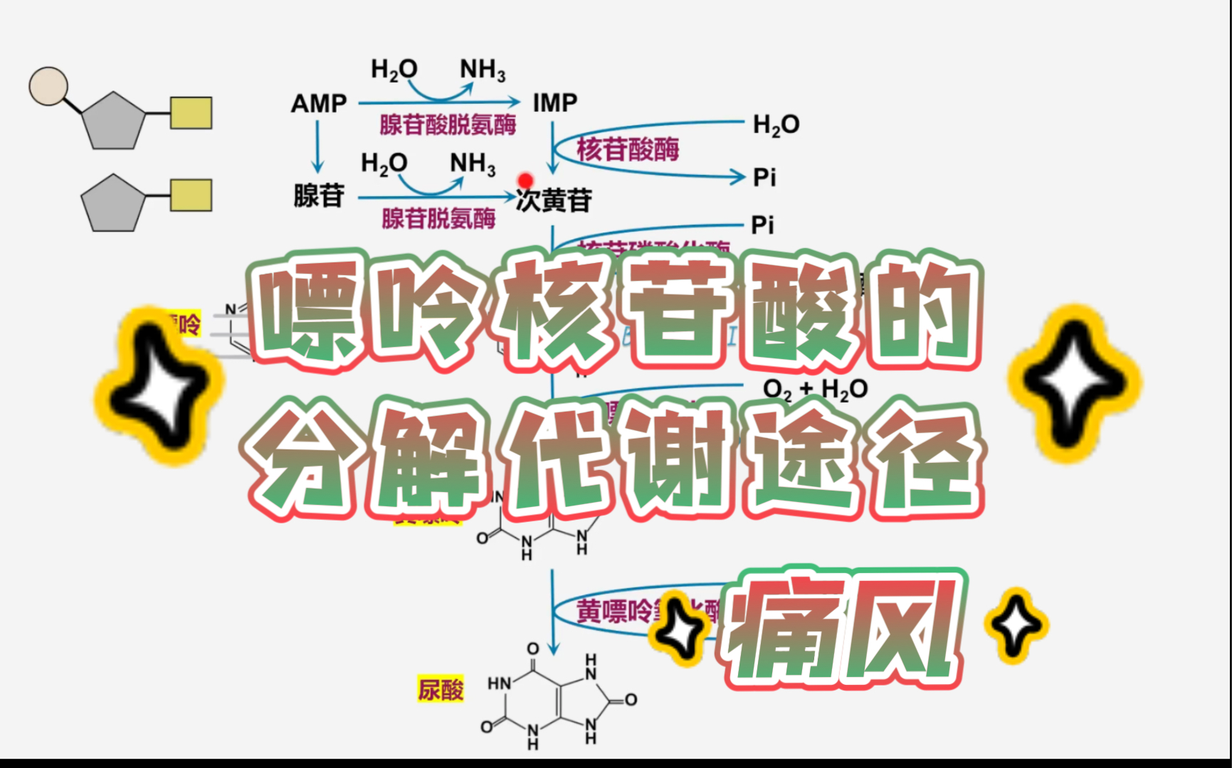 高分解代谢怎么治疗(透析指证是什么，符合多少个指证才要透析，..)