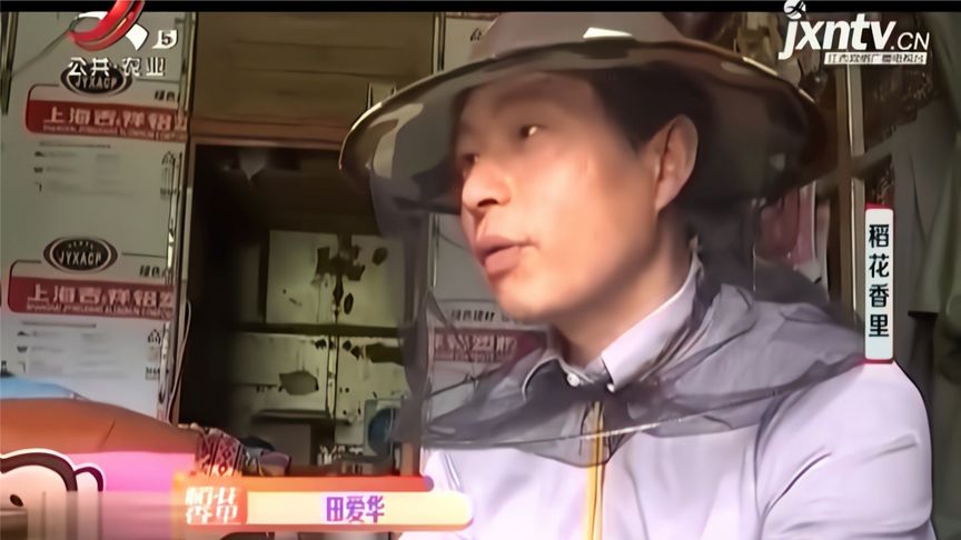 蜜蜂蛰肿了，怎么消肿最快
