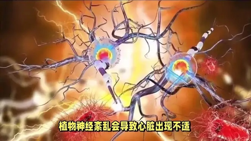 什么原因会导致植物神经紊乱？