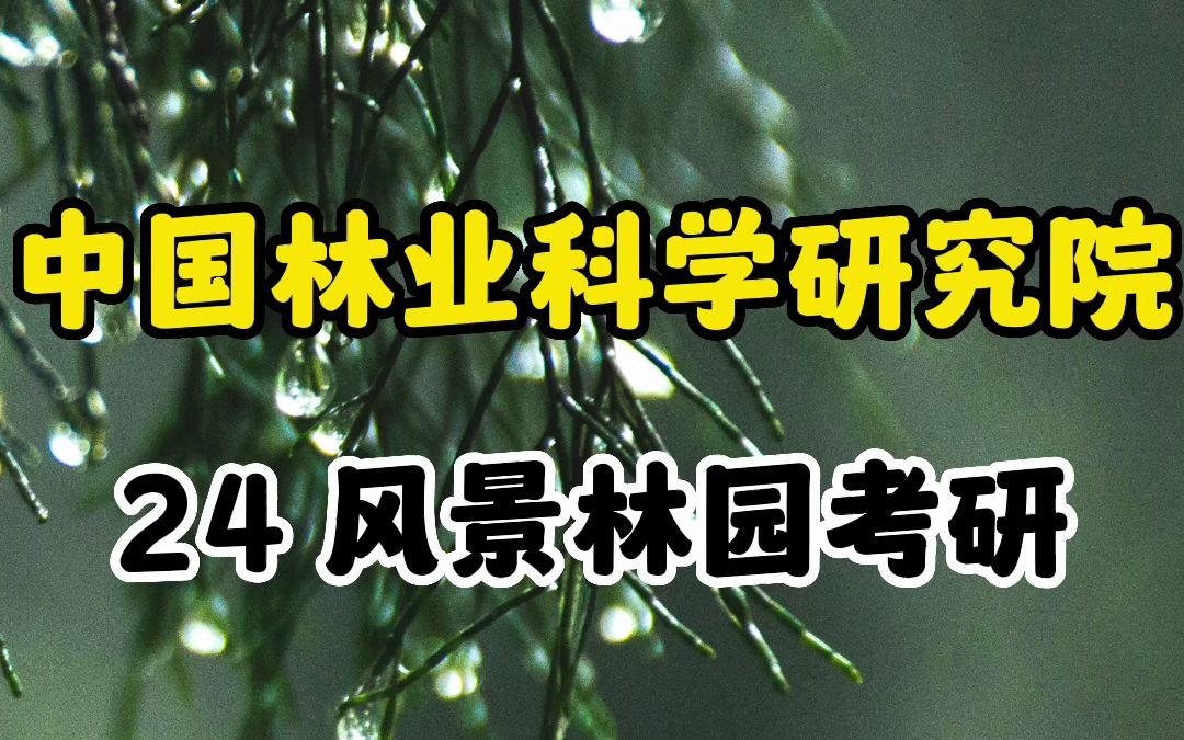 考研需要注意的事项 1000字以内