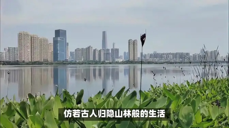 武汉沙湖公园游玩攻略