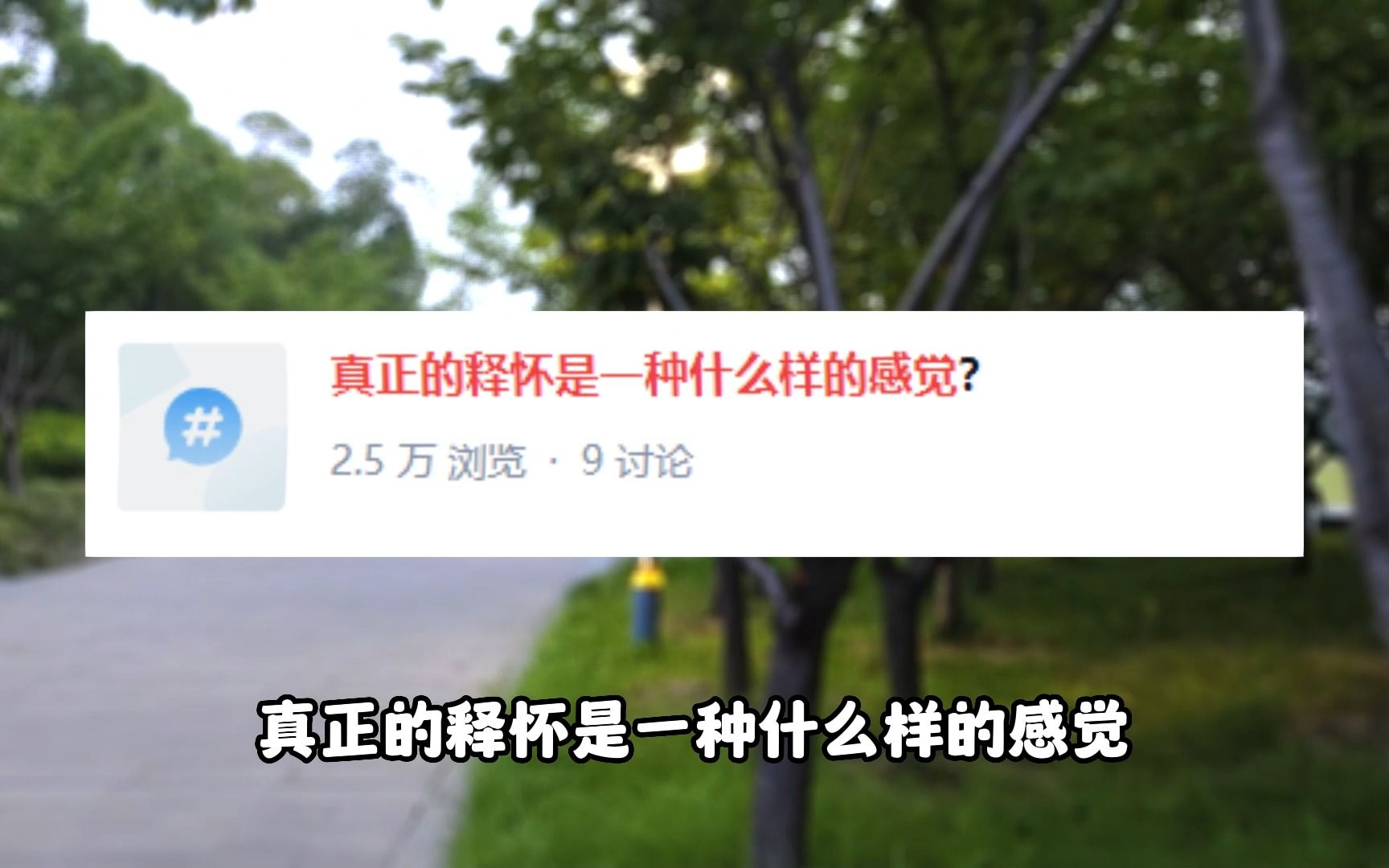 真正的释怀是一种什么样的感觉