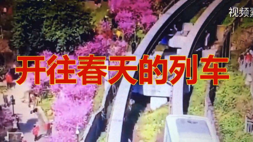 2021鼠年还是牛年(07/02更新)