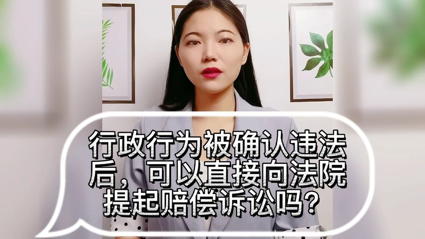 犯法后民事赔偿