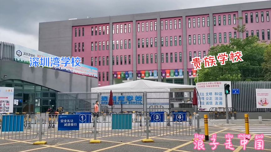 深圳湾学校学费(02/08更新)