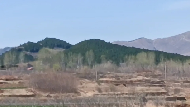 本无价前面是什么 什么皆有情