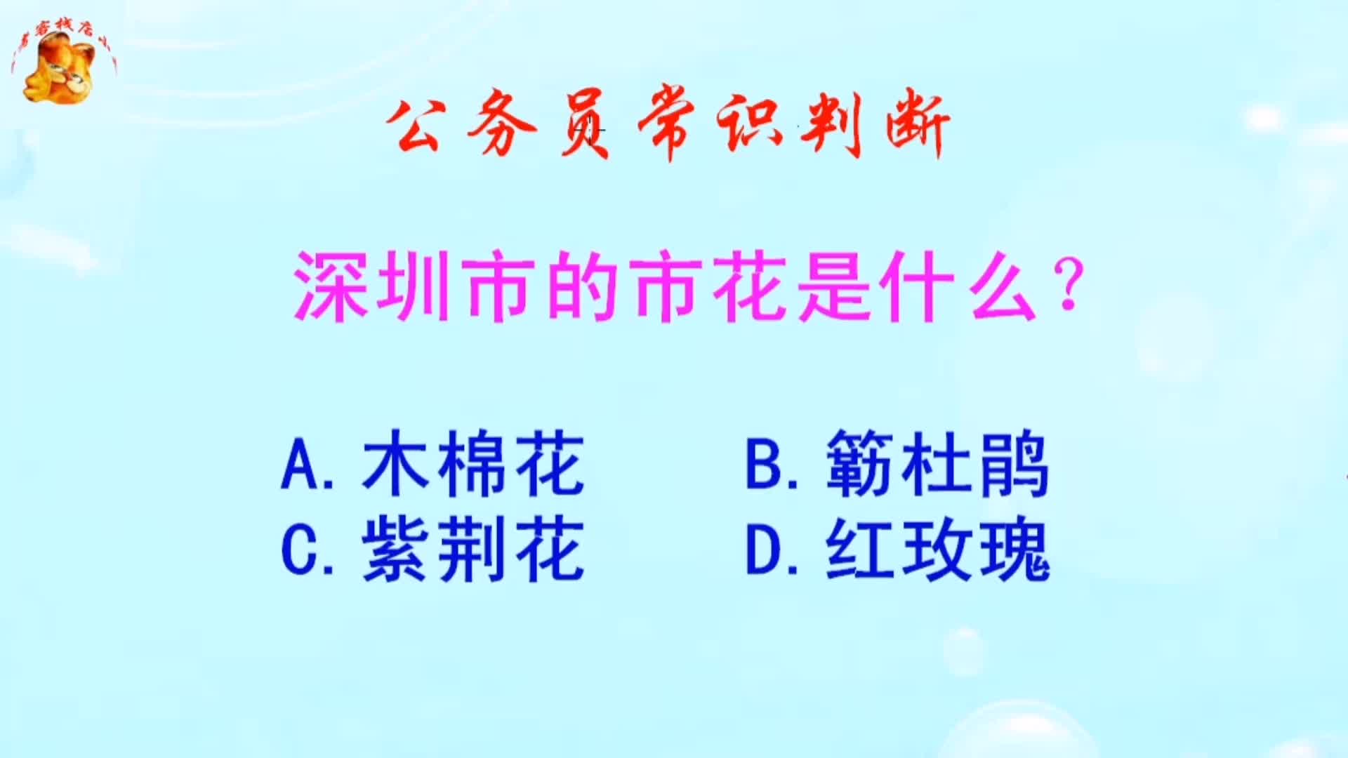 深圳市市花是什么花？