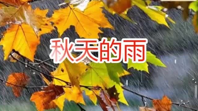 秋天的雨朗读音频