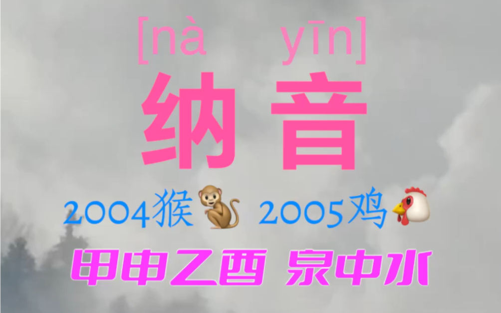 2004年是什么甲子？