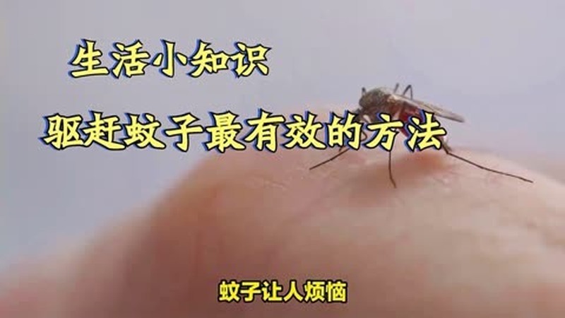 蚊仔怎么驱赶最有效(01/28更新)