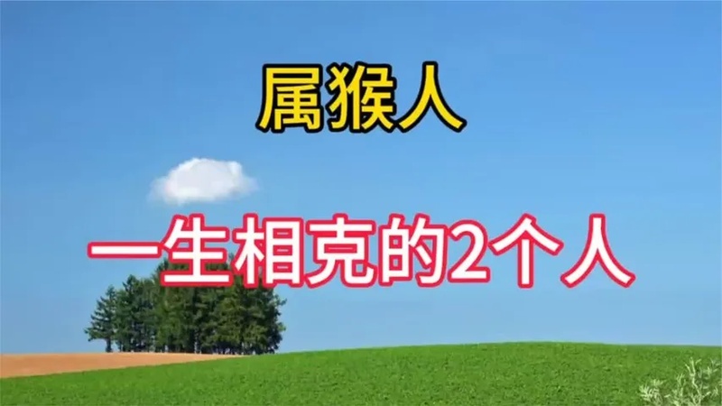 属猴不合的四个属相(06/29更新)