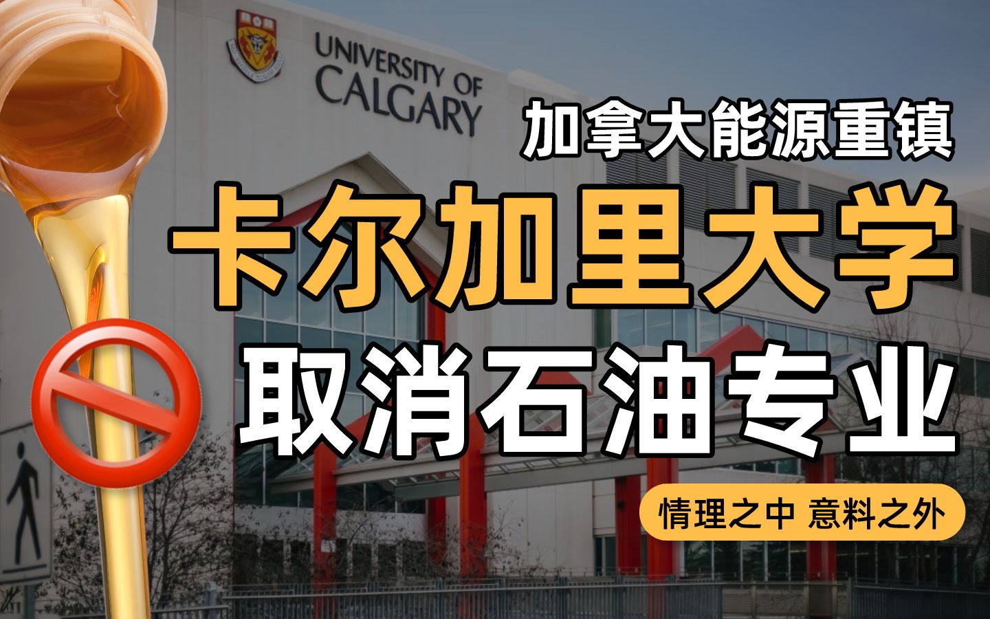 卡尔加里大学哪个专业好