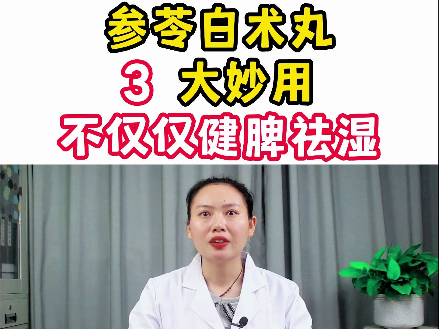 参苓白术丸的功效与作用