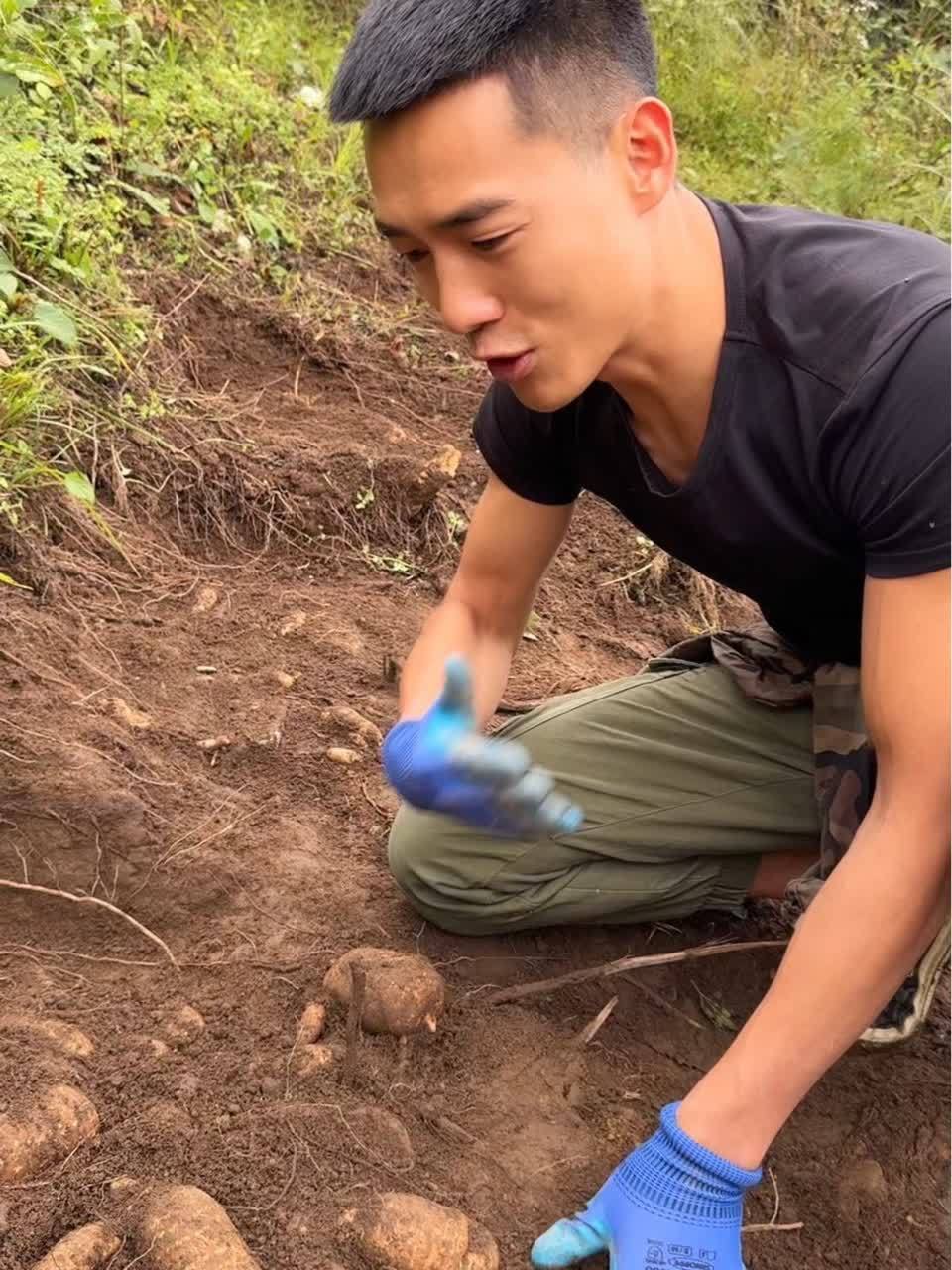 天麻炖汤有什么功效