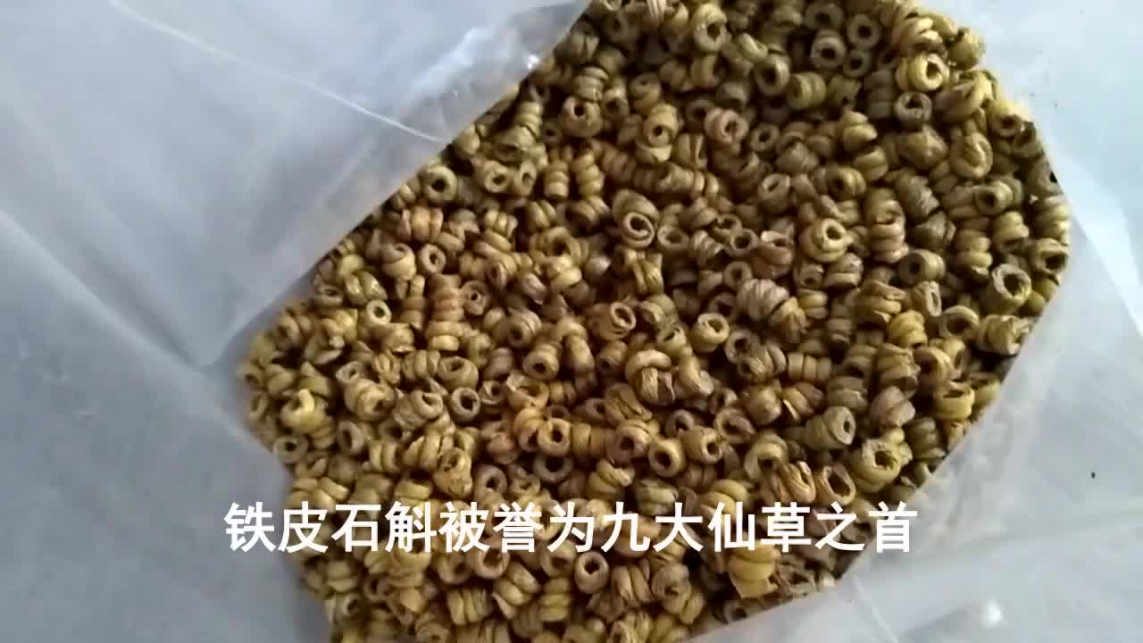 石斛花的功效与作用及禁忌