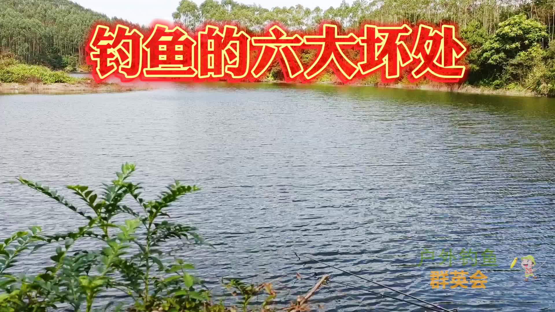 吊鱼对人好不好(关于童年趣事的作文，不少于600字，我生活..)