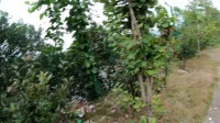 福鼎到昆明多少公里