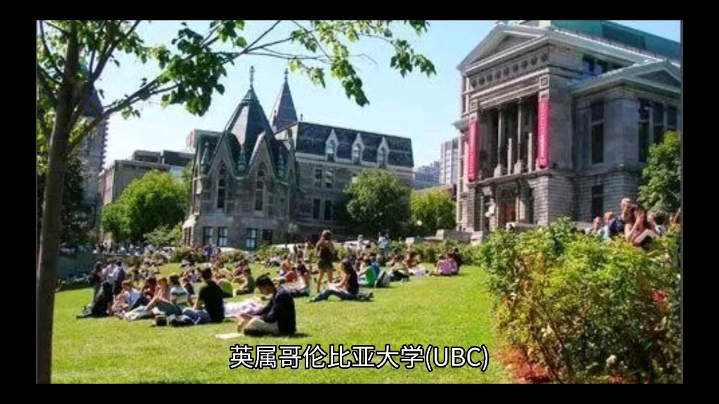 英属哥伦比亚大学哪个系