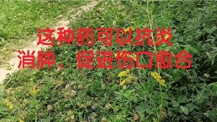 什么药对伤口愈合快