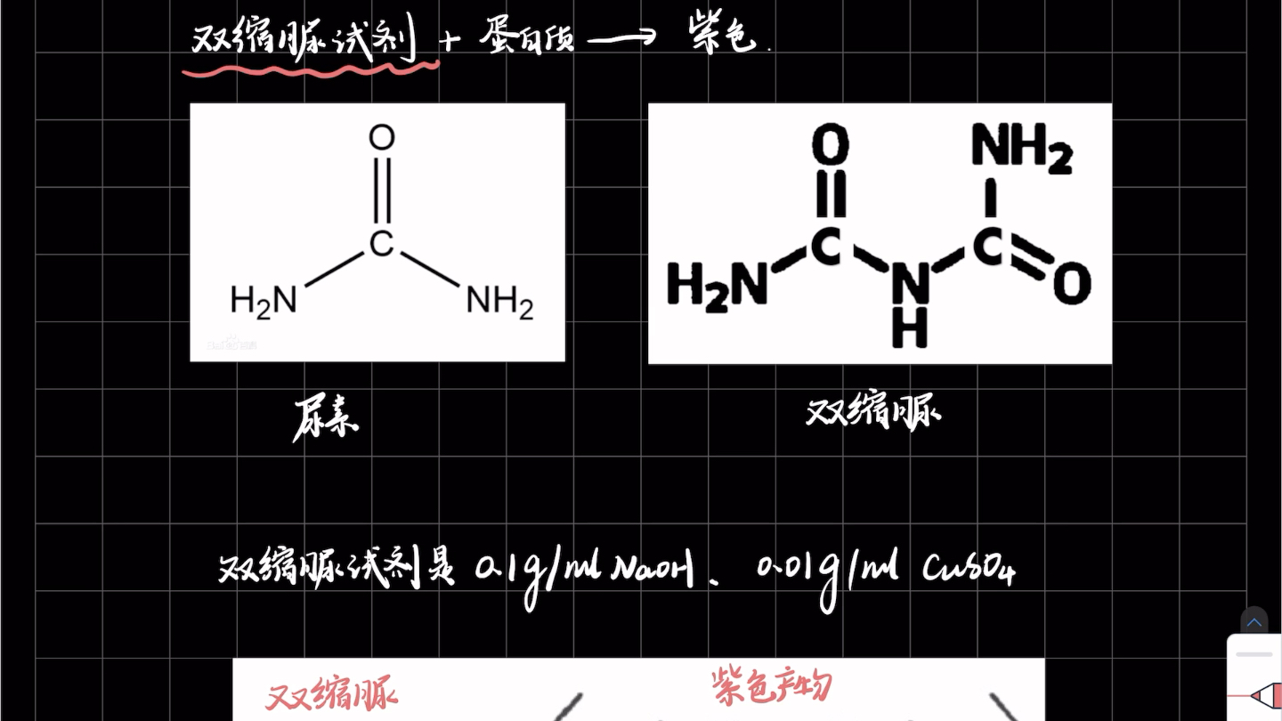 双缩脲试剂作用(02/08更新)