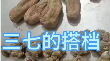 鹿茸怎么吃治疗手脚麻木