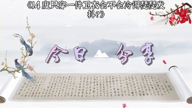 14度穿一件卫衣会冷吗