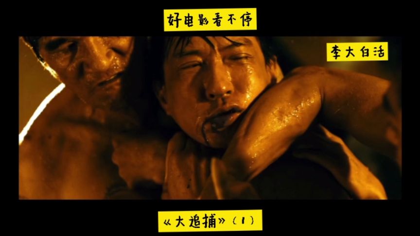 大追捕剧情简介
