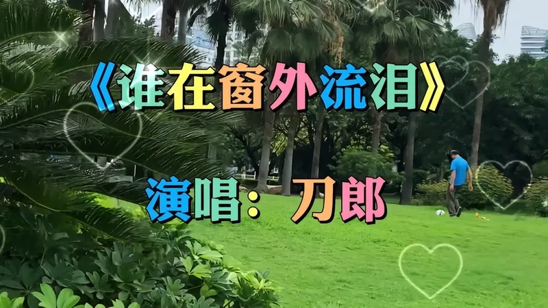 谁在窗外流泪歌词