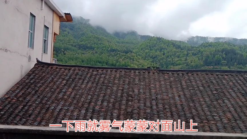 绿绿的树木对吗(06/30更新)
