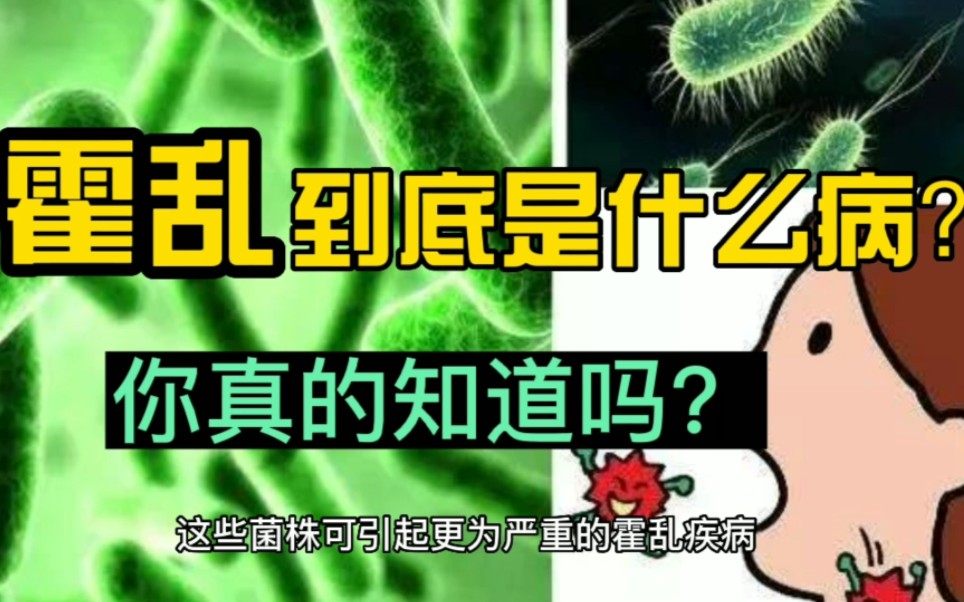 霍乱是什么病(07/03更新)