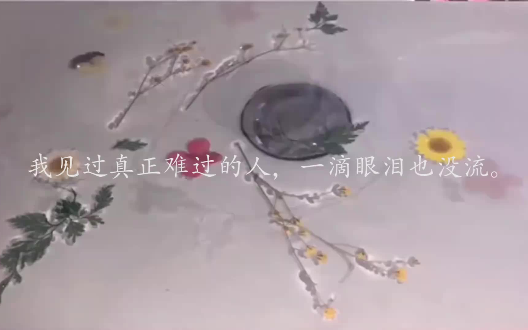 关于快手的好句子摘抄