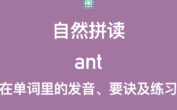 ant怎么读音发音英语(“蚂蚁”的英文怎么读？)