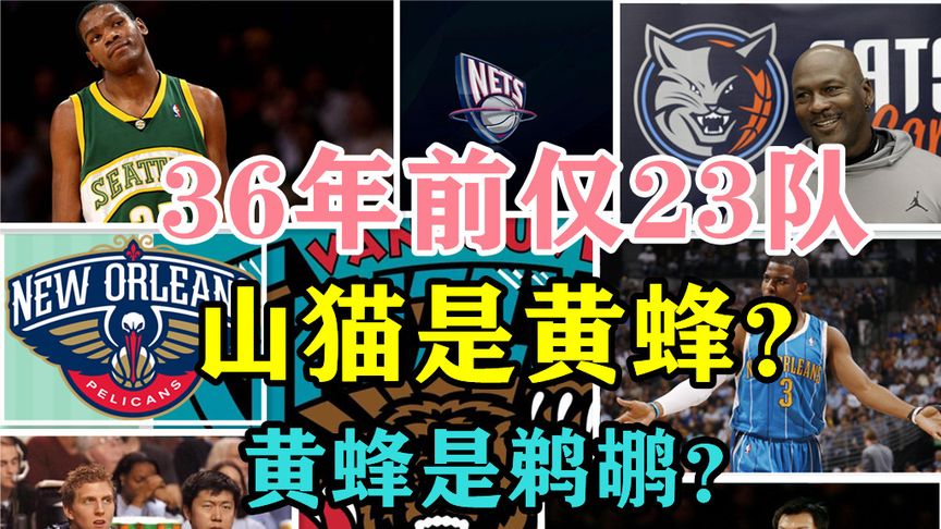 nba多少个队(01/11)