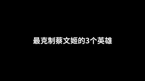 蔡文姬被哪些英雄克制(01/06)