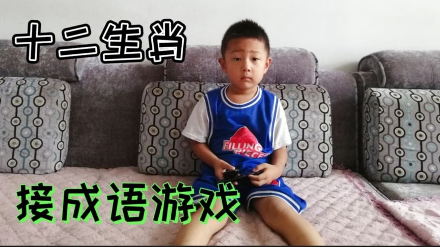 砖字十二生肖代表什么成语有哪些