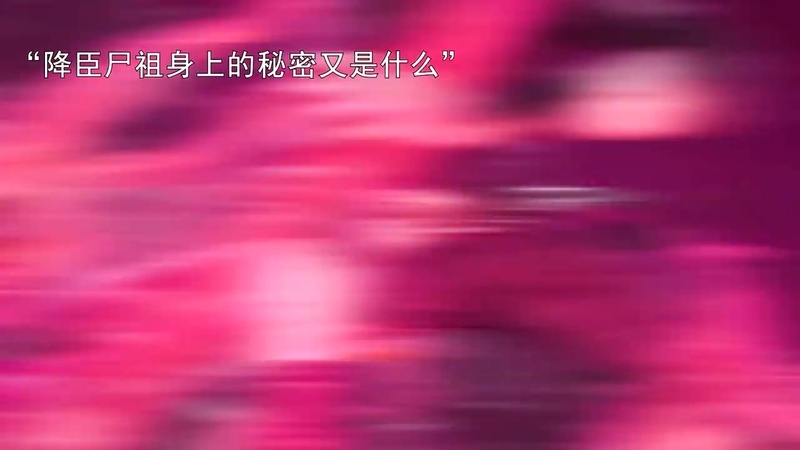 不良人7季在线观看免费播放