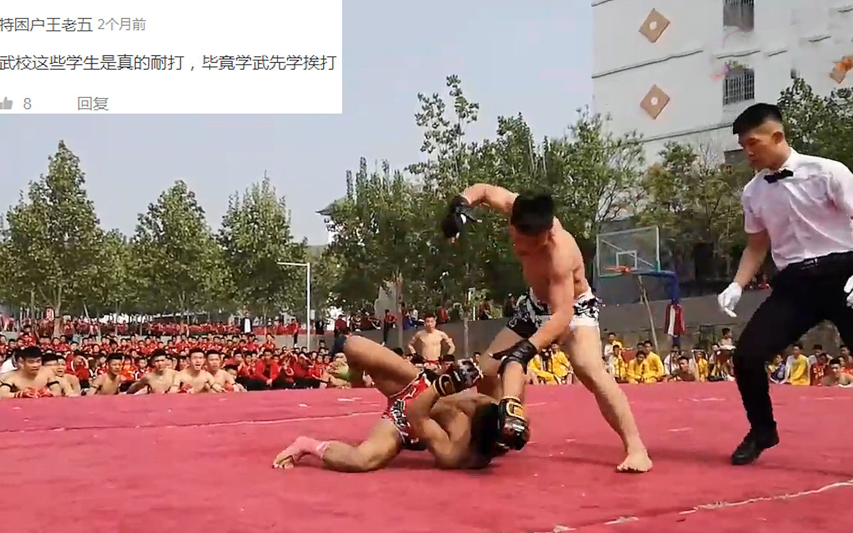 中国武校哪个最好